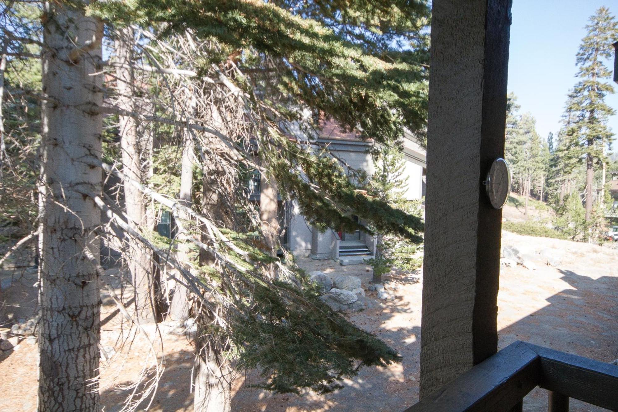 Chamonix #36 * Mammoth Lakes